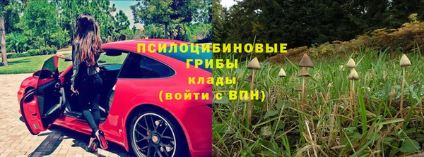 трава Верхний Тагил