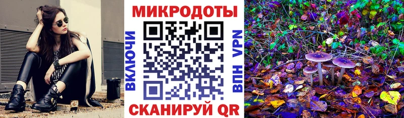 Псилоцибиновые грибы мицелий  Вязьма 