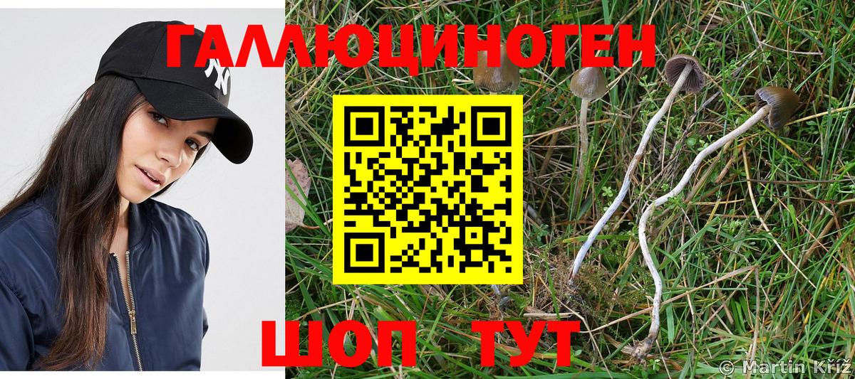 Псилоцибиновые грибы MAGIC MUSHROOMS  Вход с VPN  Галлюциногенные грибы GOLDEN TEACHER  купить  сайты  Вязьма 
