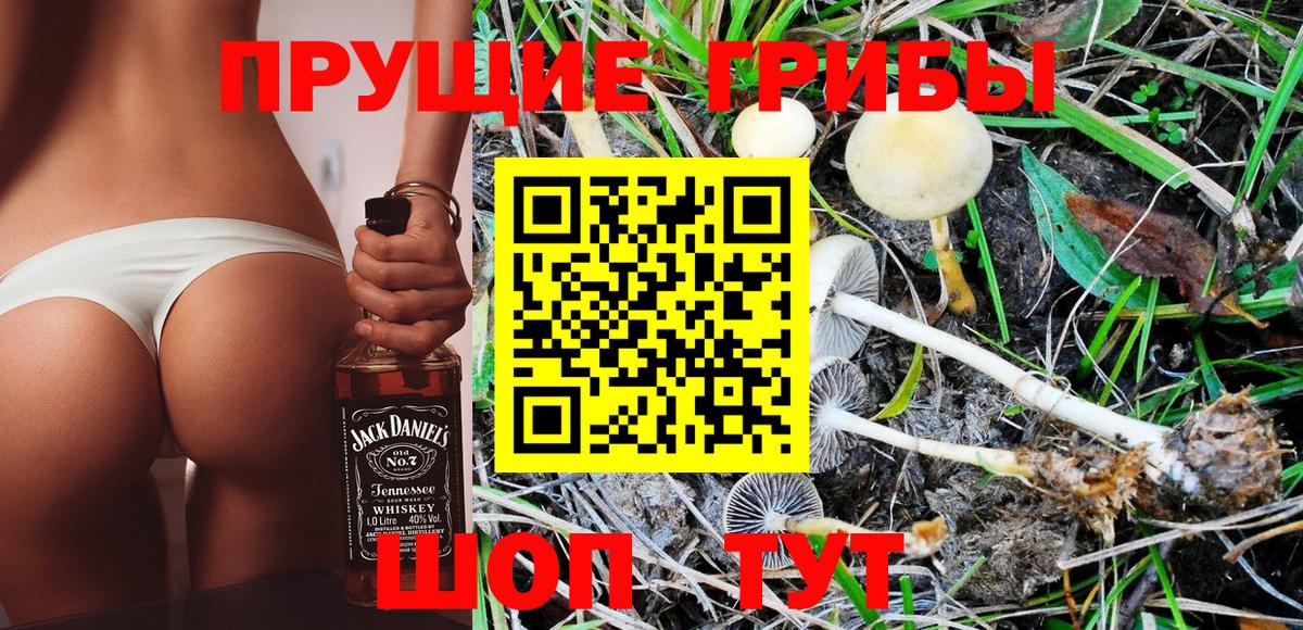 Галлюциногенные грибы прущие грибы  цена   Вязьма 