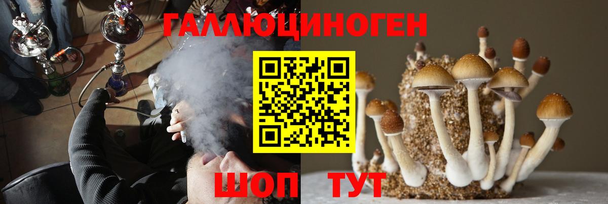 Галлюциногенные грибы Magic Shrooms Вязьма